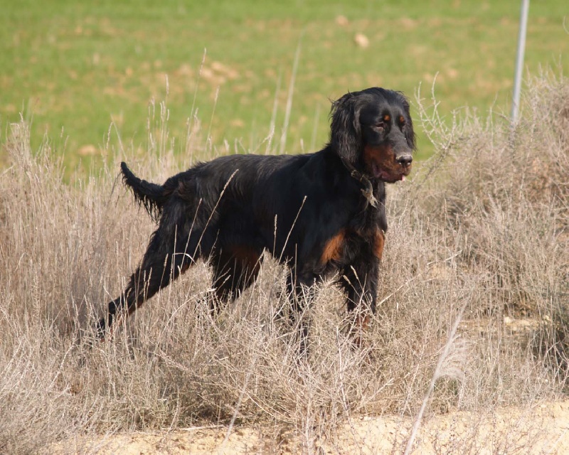 Cora Des Coteaux Du Maine Marreau