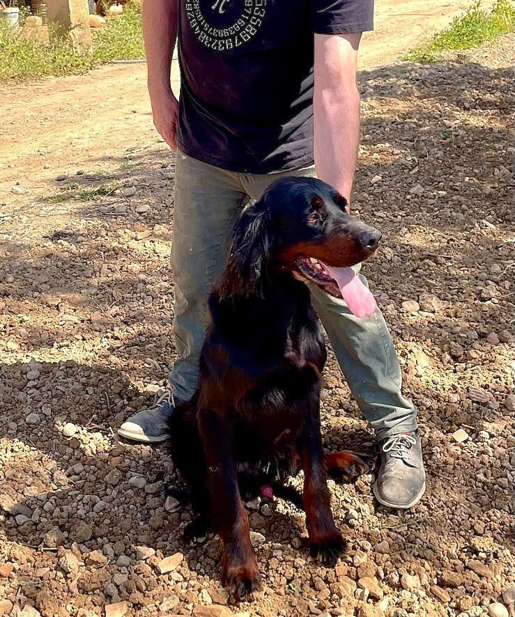 Rio Des plaines dauxeenes