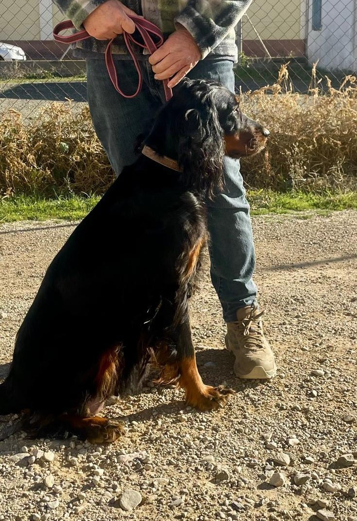 Uma De La Source De Mary